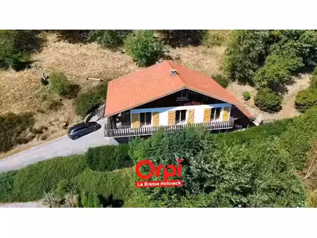 vente chalet 8 pièces 233 m² à la bresse (88250)  475 000 €