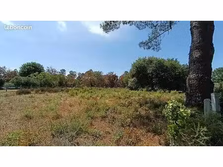 terrain 2 305 m² biscarrosse