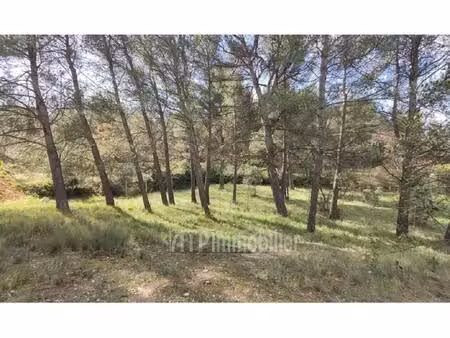 terrain - 1000m ²