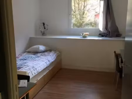 studio 1 pièce 17 m²