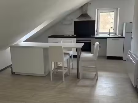 appartement 47 m² climatisé  calme  jardin & garage moto