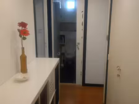 appartement t3 meublé à toulouse cote pavée