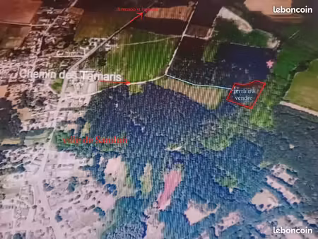 vend terrain boisé à guérande 7053m2