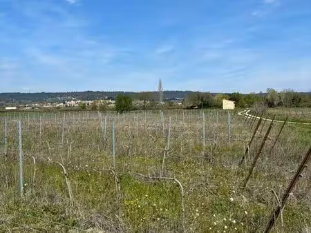 terrain agricole