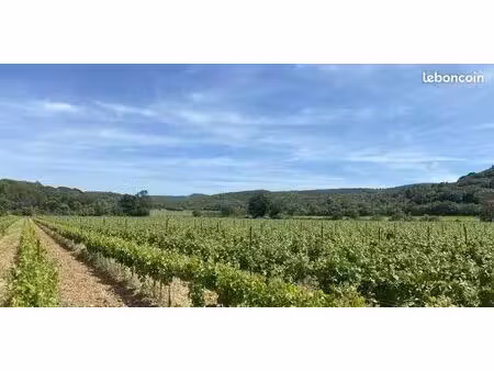 terrain 1 409 m² lezignan corbieres