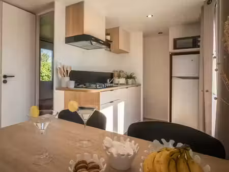 vente chalet 3 pièces 29 m² à nibelle (45340)  44 503 €