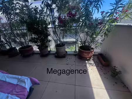 appartement proche de tout