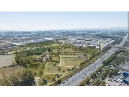 recherche terrain ou local