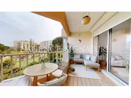 le cannet - les mimosas -