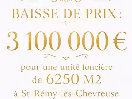 villa de luxe de 12 pièces en vente saint-rémy-lès-chevreuse  france