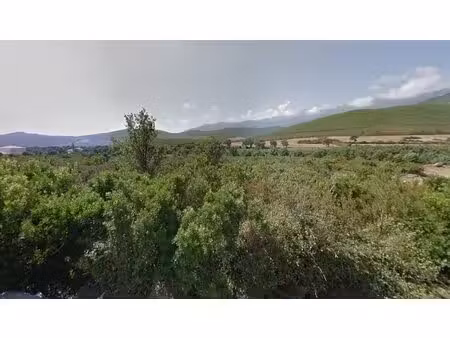 vente terrain constructible pietracorbara