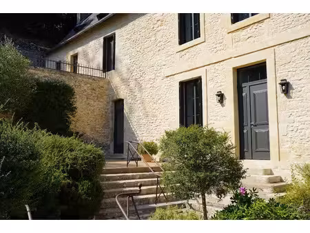 vente maison 9 pièces 450 m² à montignac (24290)  830 000 €
