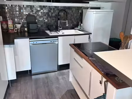grand appartement rénové proche centre de lyon
