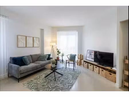 maison à louer agen