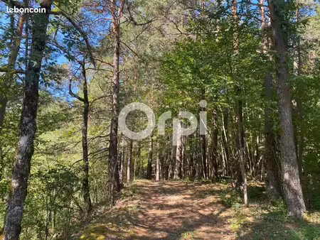 terrain 10 693 m² le mas