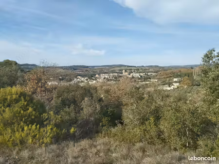parcelles forestières saint martin le vieil