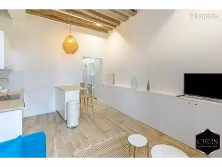 studio 1 pièce 21 m²