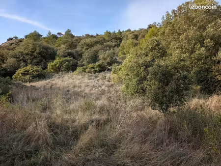 terrain 2300 m² rieux-en-val