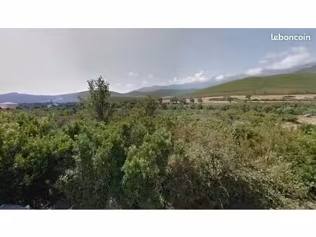 terrain 2998 m² pietracorbara