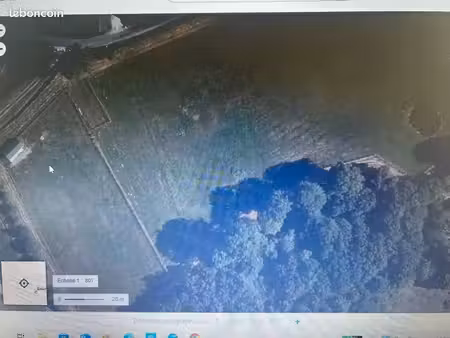 terrain pour chevaux