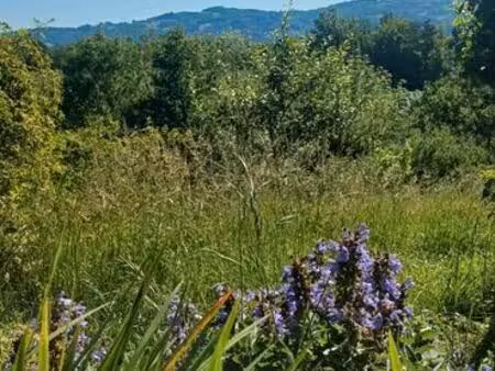 maison bioclimatique neuve  au calme  vue panoramique  vallée de la dordogne