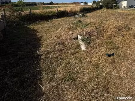 terrain constructible