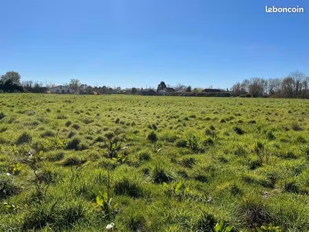 terrain à bâtir de 1250 m² à la force (24)