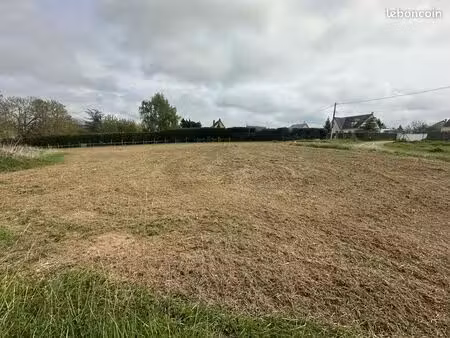 terrain constructible
