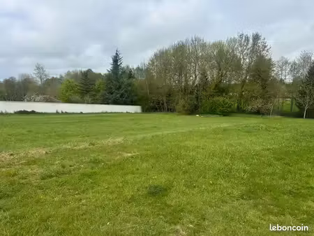 terrain constructible