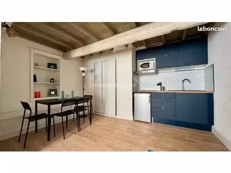 duplex 1 pièce 31 m²