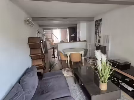 t2 bis duplex amidonniers avec jardin