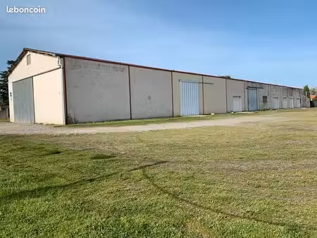 local d'activité  dépôt  stockage sur muret (sud)