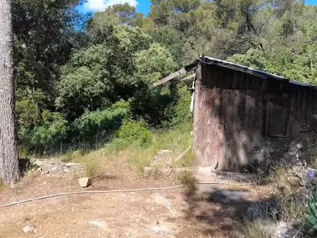 mazet terrain cadastré