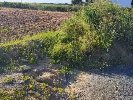 terrain 335 m² plouenan