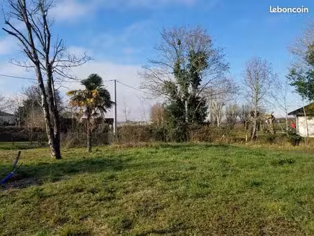 terrain constructible