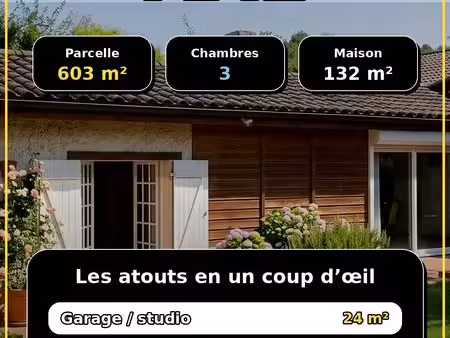 maison de charme dans le centre de pibrac