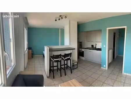 appartement 2 pièce 32m2 + placard + cave 11m2 + parking