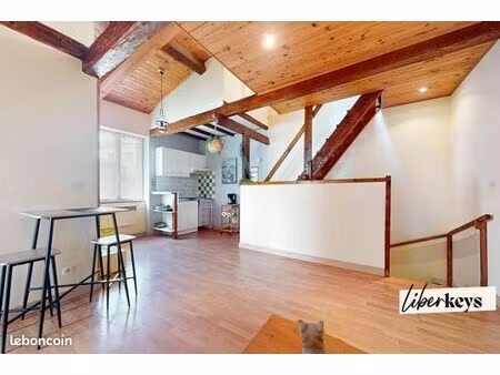 immeuble 250 m² villemur sur tarn
