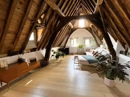 ruim en karaktervol 1-slaapkamerappartement in hartje leu...