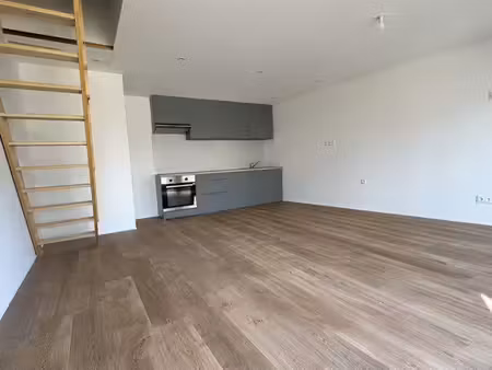 maison a louer 50 m²