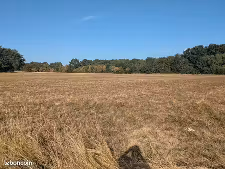 terrain agricole