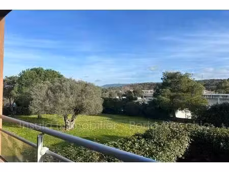 insula immobilier