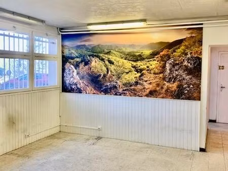 locaux professionnels 60 m² toulouse
