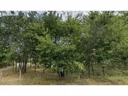terrain 808 m² gujan mestras