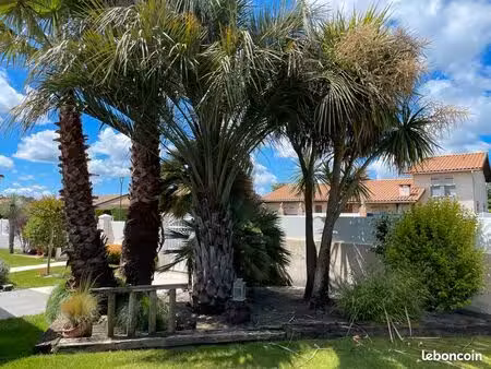 maison climatisée avec piscine et jardin exotique à biganos
