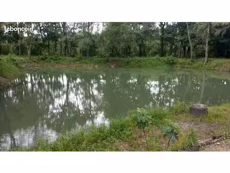 parcelle avec étang