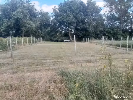 terrain type