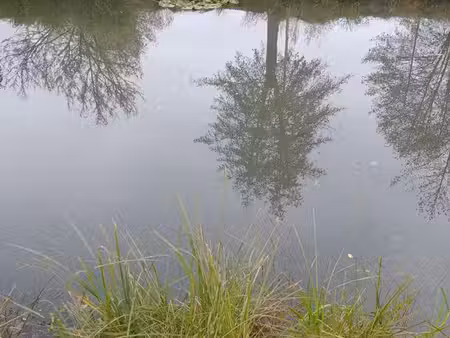 etang