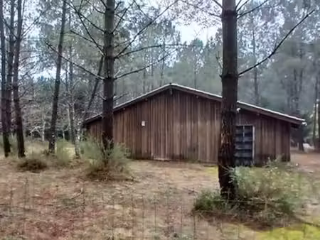grand bâtiment en bois