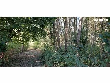 terrain bord de loir